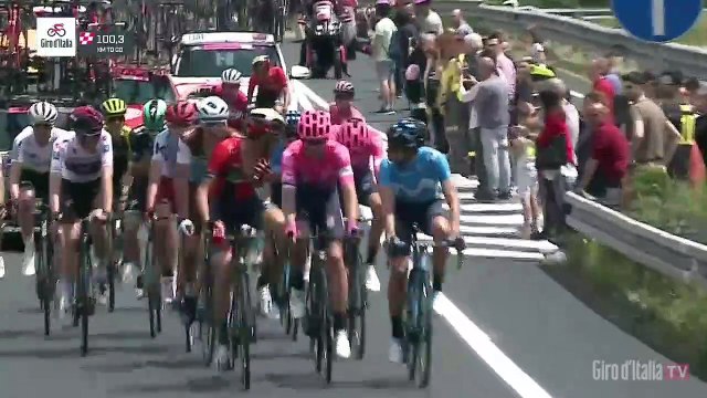 Giro d'Italia 2019 | Stage 14 | Peloton