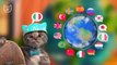 Little Kitten Preschool Educational Kids Games - My Favorite Cat School Adventure Learning Gameplay