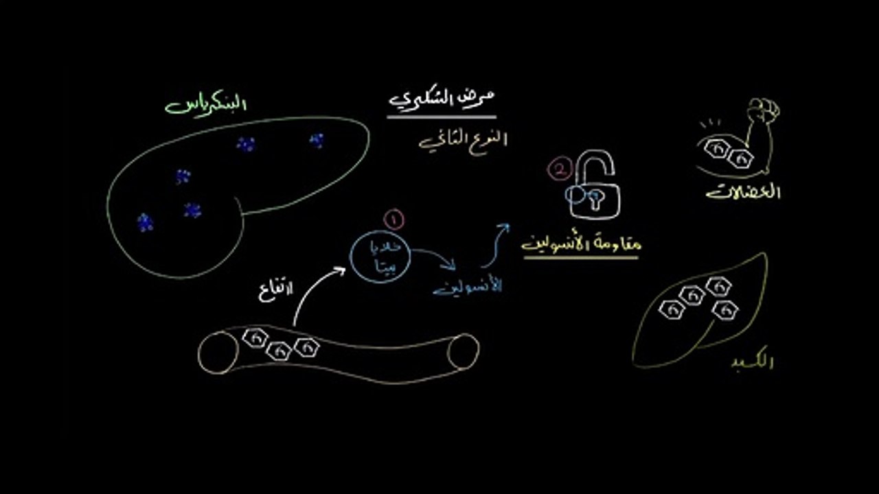 الفسيولوجيا المرضية للنوع الثاني من مرض السكري