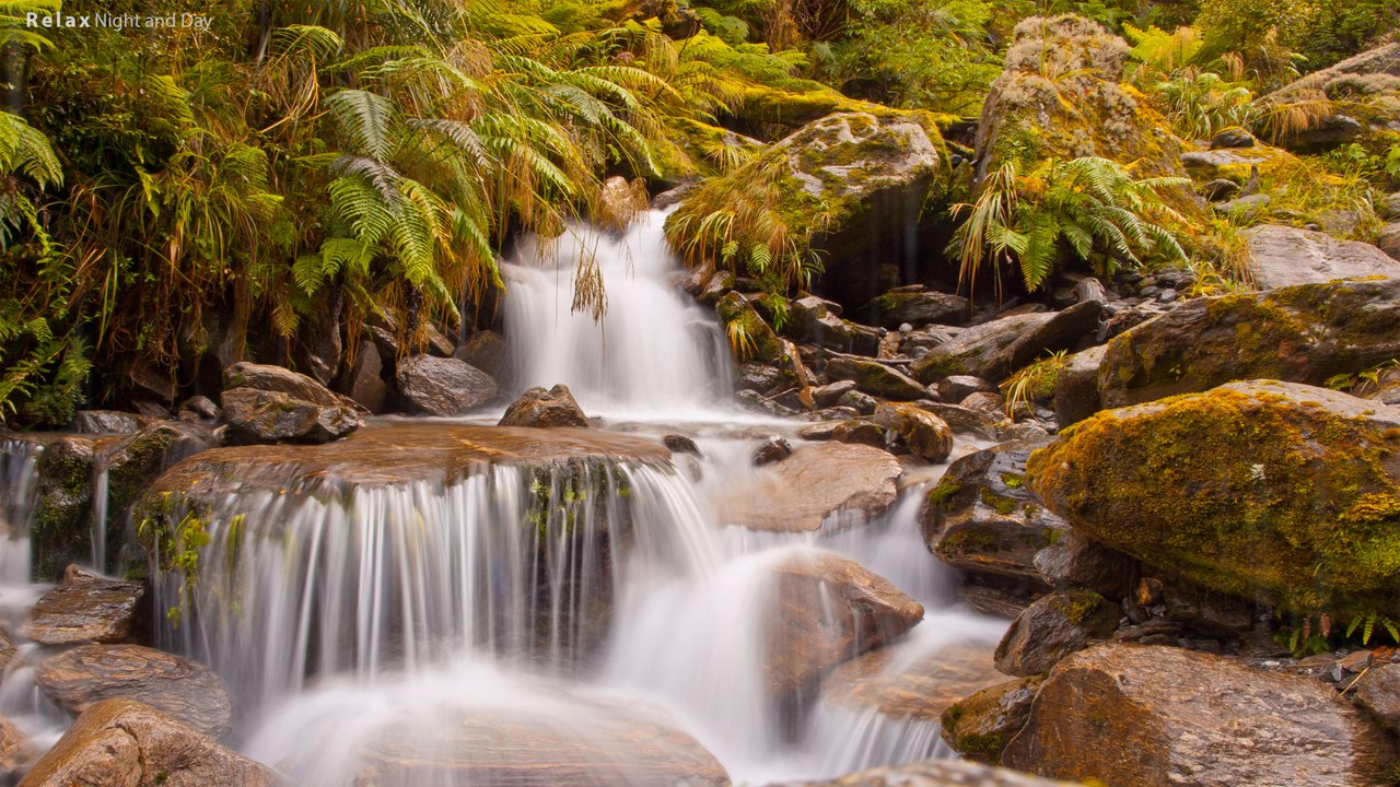 Forest Stream for Sleep | 10 Hours - 4K, Water Sounds, SPA, Concentrate, Studying, White Noise, Relaxing Nature Sound