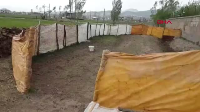 HAKKARİ Ağıla giren köpekler, 18 küçükbaş hayvanı telef etti