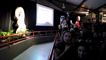 Un cheval danse le flamenco à Tomblaine