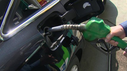 휘발유 가격 14주째 상승...오름폭 '주춤' / YTN