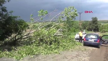 TEKİRDAĞ Malkara'da şiddetli dolu yağışı 20 bin dönüm ekili alana zarar verdi