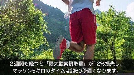 【衝撃】筋トレをやめたら体に何が起こるのか？