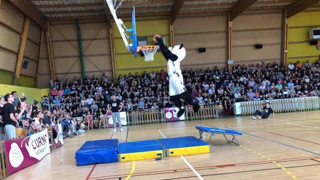 Même le panda, mascotte de l’équipe de basket, marque des paniers.