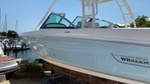 2019 Boston Whaler 230 Vantage offered by MarineMax Venice, FL.