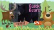 BLACK BEARS Animals for children. Kids videos. Kindergarten - Preschool learning