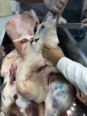 طريقة عمل المفطح سباق الهجن للملك عبد العزيز