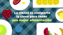 Internacional | Conoce la clave para una buena alimentación