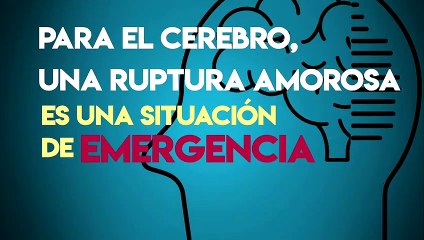 Tecnología y Ciencia | El paracetamol puede curar el mal de amores