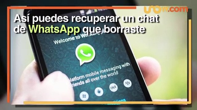 Negocios | Así puedes recuperar un chat de WhatsApp que borraste