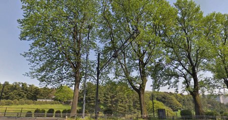 宇宙の真理 説明はありません イメージをしてね。