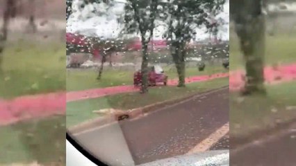 Internauta flagra carro transitando na ciclovia