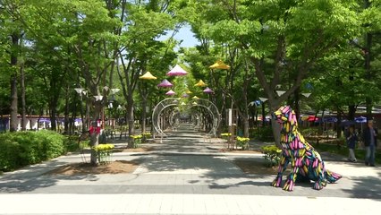 대전 도심 한복판에서 누리는 '힐링' / YTN