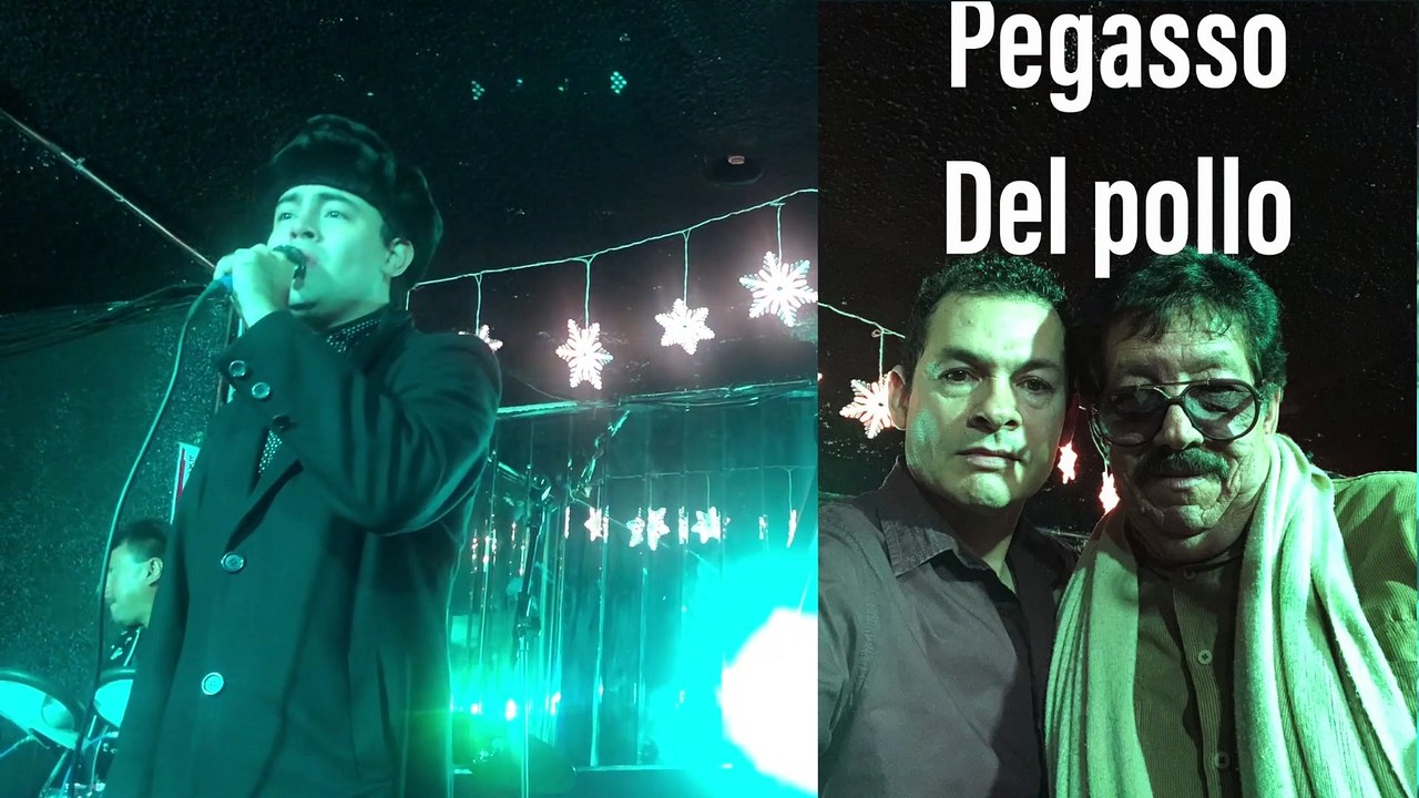 melodia decencadenada, pegasso,del pollo