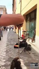 aggredisce bambino e padre: «Non toccare la chitarra»