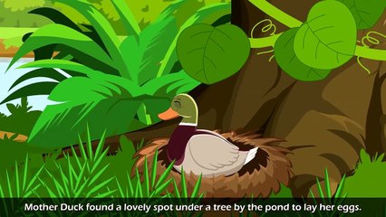 Ugly Duckling in English | Story | English Fairy Tales