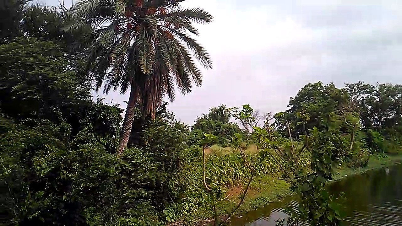 Nice Place