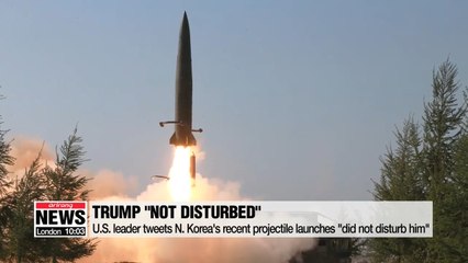 Trump 'not disturbed' by N. Korea's recent firing of  'some small weapons'