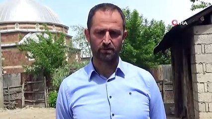 Büyükbaş Hayvanları Otlatabilmek İçin Nehirden Geçiriyorlar