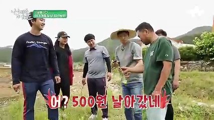 연 매출 1억 5천만원?! 억대 매출을 달성하는 보물은 '곤드레'