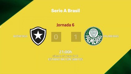 Resumen partido entre Botafogo y Palmeiras Jornada 6 Liga Brasileña