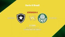 Previa partido entre Botafogo y Palmeiras Jornada 6 Liga Brasileña
