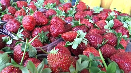 Meyve fiyatları düşüşe geçti