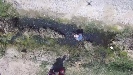 Amik Ovası'nda kalan balıklar kurtarılıyor