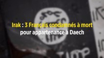 Irak : 3 Français condamnés à mort pour appartenance à Daech