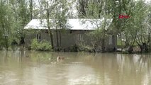 HAKKARİ YÜKSEKOVA'DA DERE TAŞTI, 7 EV 20 AHIR SULAR ALTINDA KALDI