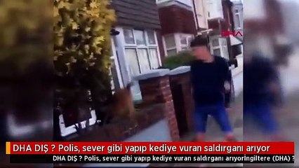 DHA DIŞ ? Polis, sever gibi yapıp kediye vuran saldırganı arıyor