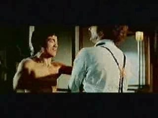 Tribute to Bruce lee