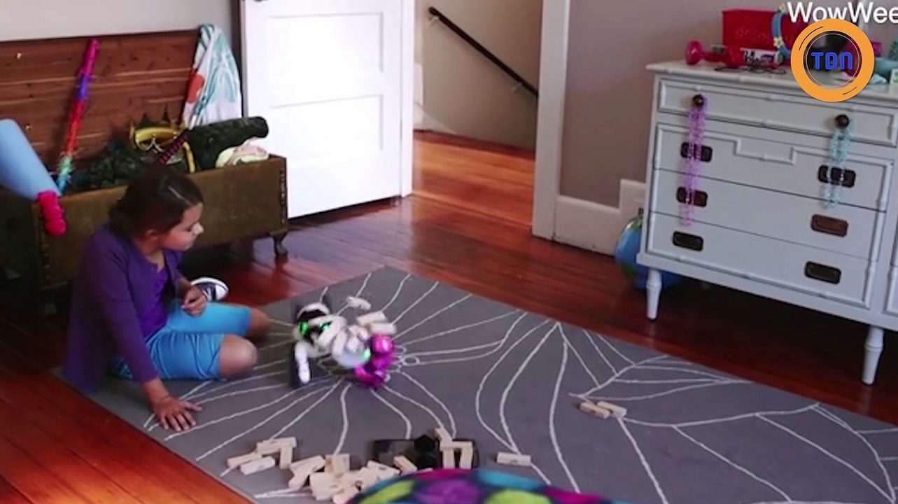 Adopter un chien robot ? C'est possible