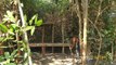 Build incredible Bamboo Mud Villa House in Deep Jungle without tool by Jungle Survival
