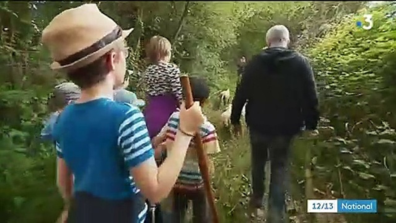 Finistère : les randonneurs invités à la transhumance