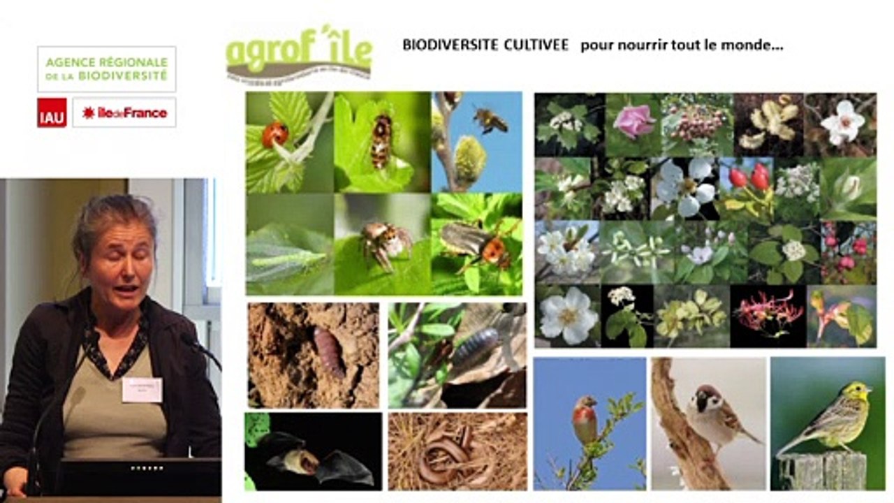 3 - Agnès SOURISSEAU - Rencontre technique "Continuités écologiques et forêts" 2019