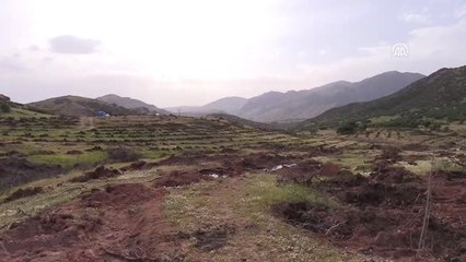 "Türkiye'nin en büyük ipek böcekçiliği üretimi Hozat'ta olacak"