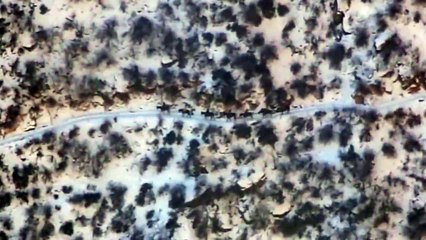 Ces cavaliers marchent sur un chemin au bord du canyon ! Vidéo impressionnante !