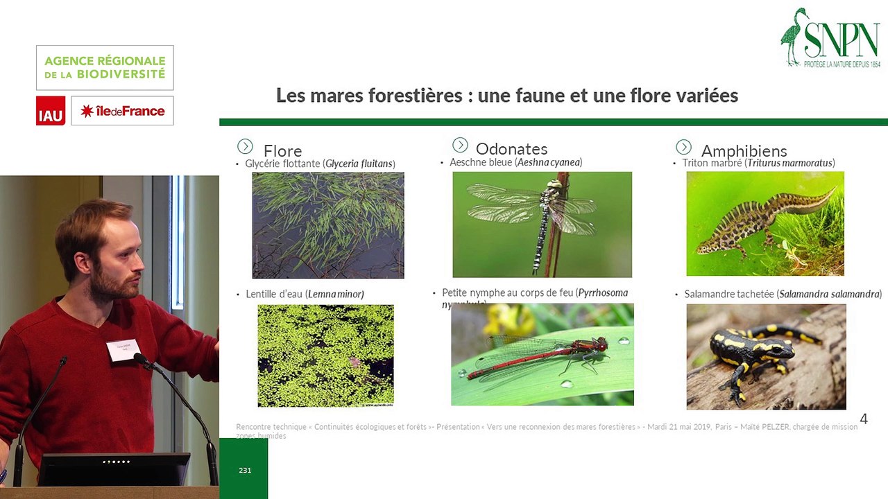 13  - Maïté PELZER et Florian ANDRÉ - Rencontre technique "Continuités écologiques et forêts" 2019