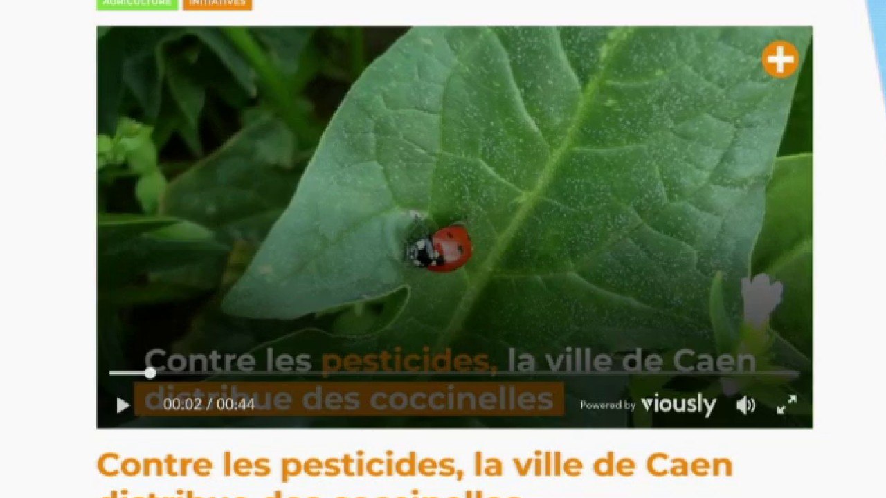 Caen : des coccinelles pour vos plantes !