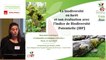 14 - Marine LAUER - Rencontre technique "Continuités écologiques et forêts" 2019