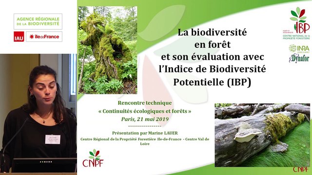 14 - Marine LAUER - Rencontre technique Continuités écologiques et forêts 2019