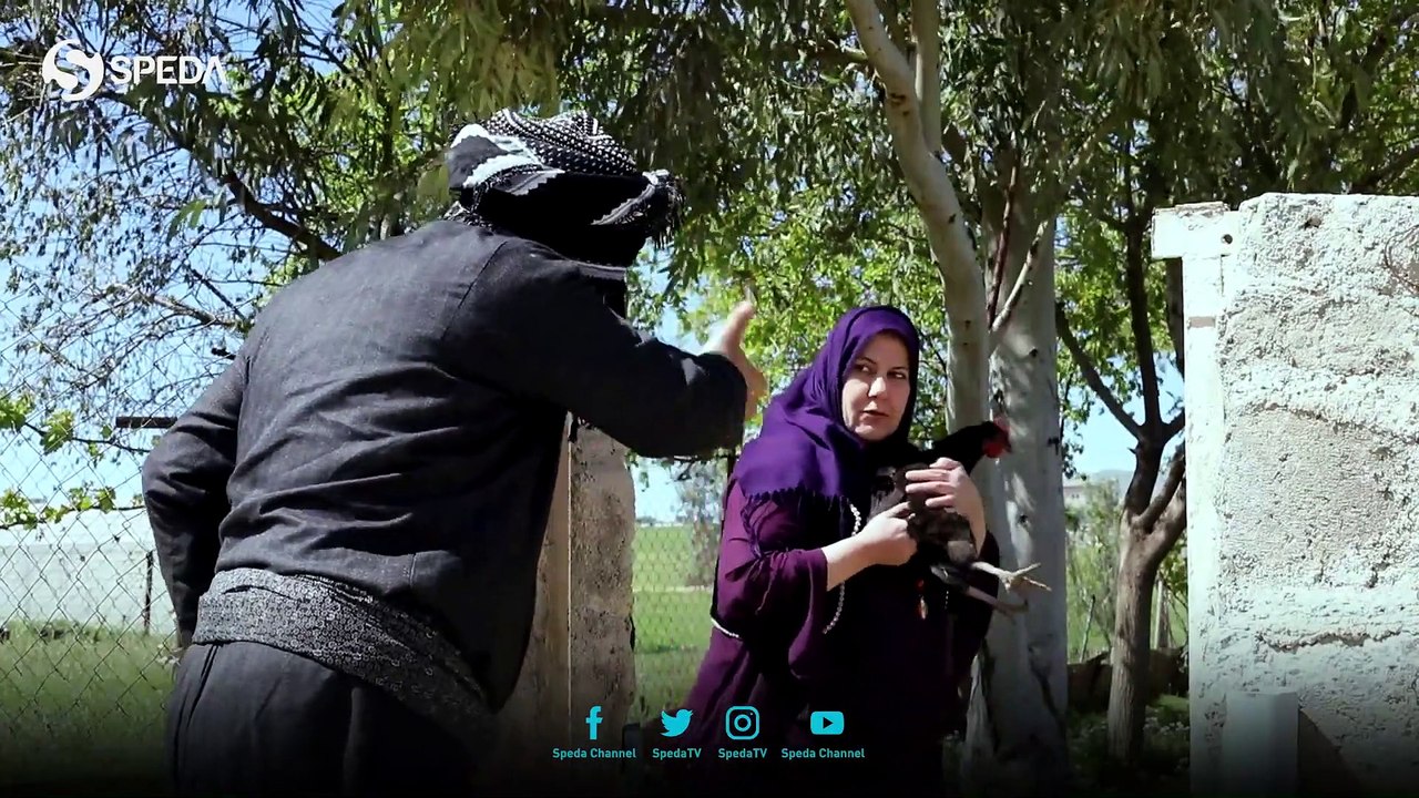 درامای پەلکە زێڕینە ئەلقەی ٢