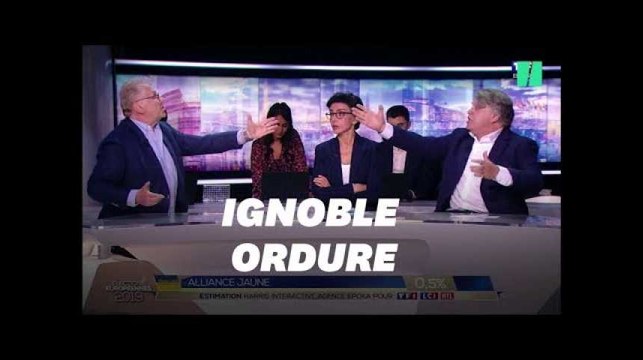 Gilbert Collard et Daniel Cohn-Bendit se hurlent dessus sur TF1