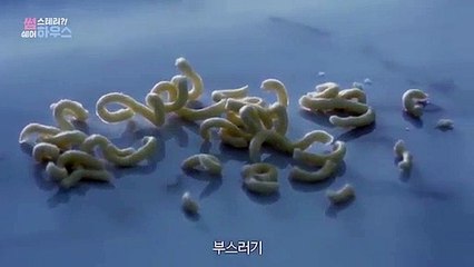 평창출장마사지-{카톡ZAM99}⊀Ö1Ô-73Ö7-52Ö7⊁평창출장마사지'20대'평창출장안마 평창출장안마코스 평창출장안마 평창출장맛사지-황제평창출장맛사지-평창콜걸.