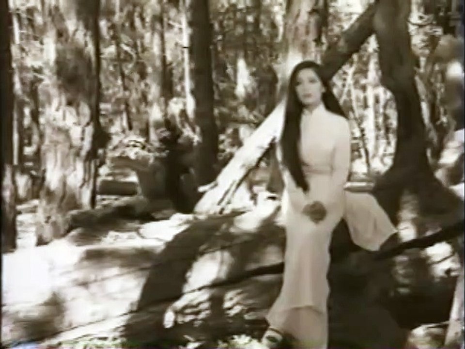 Video - CHUYỆN TÌNH TRINH NỮ TÊN THI (Như Quỳnh)