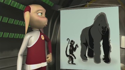 GORILLA Animals for children. Kids videos. Kindergarten - Preschool learning