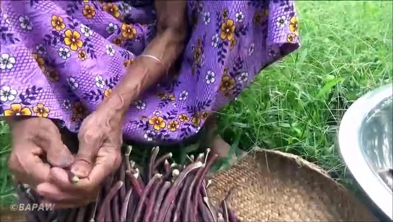 Rouge de Longs Haricots Curry préparé dans mon Village par la grand-mère, d'un Village de la Nourriture